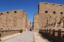 Luxor Layover Private Tour from Luxor airport To Luxor attractions Include Lunch