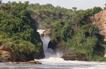 3-Day Murchison Falls Vacation Including Big 5 Sighting