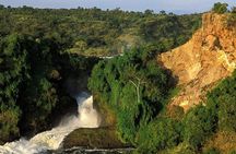 5-Day Murchison Falls, Budongo Chimps, Wildlife Big 5 Safari