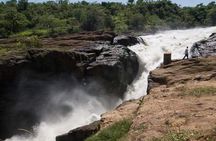 6-Day Murchison Falls and Kidepo NP Wildlife Safari