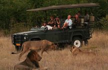 Hwange (Safari) Day Trip from Victoria Falls