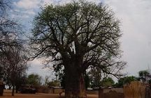 Chobe National Park and Impalila Island Day Tour from Victoria Falls