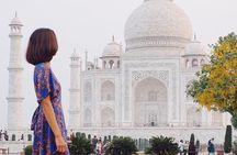 Private Taj Mahal Agra fort Day Trip from Delhi By Car 