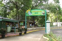 Montego Bay to Dunn's River Falls Half-Day Trip