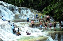 Montego Bay to Dunn's River Falls Half-Day Trip