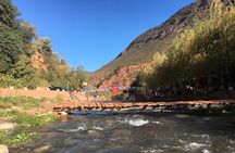  Full day tour Ourika Valley And Atlas Mountains 