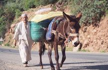 Private Half-day Trip To Ourika Valley From Marrakech Including Camel Ride 