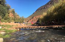Private Half-day Trip To Ourika Valley From Marrakech Including Camel Ride 
