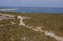 Half day Safari Tour to Akamas Peninsula from Paphos