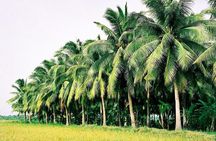 Mekong Delta with Floating Market 2 Days