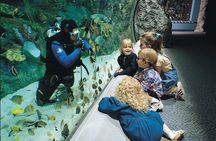 Skip the Line: Aquarium of the Pacific General Admission Ticket