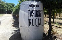 Visit Kirstenbosch, Groot Constantia & Steenberg Vineyards