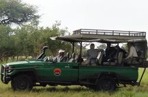 The Best of Botswana & Vic Falls - By Walking Stick Safaris
