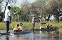 The Best of Botswana & Vic Falls - By Walking Stick Safaris