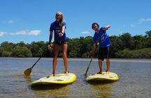 Private Stand Up Paddle Boarding Tours Byron Bay