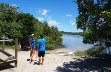Private Stand Up Paddle Boarding Tours Byron Bay