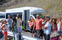 Circle Island Tour with Waimea Waterfall