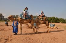 Sunset camel ride in Agadir with transport, tea and cakes.
