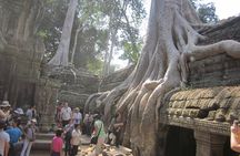 Shared Tour to Angkor Wat, Bayon and Ta Prohm Temples