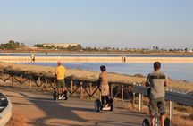 Flamingos Sightseeing Segway Tour