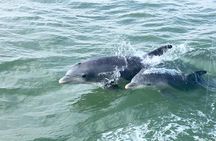 Private Historical Wildlife and Dolphin Cruise South Padre Island