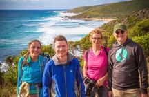 Margaret River Wine Adventure - The tour for people who don't do tours!