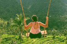 All inclusive Bali Sekumpul Waterfalls Trekking Tour