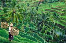 All inclusive Ubud private tour 