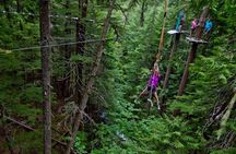 Aerial Obstacle Course - Full Course