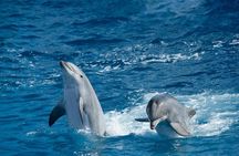 Overnight Snorkeling Trip At Satayh Dolphin Reef From Marsa alam