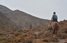 Horseback Ride in the Andes Mountain - Private tour from Santiago