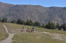 Horseback Ride in the Andes Mountain - Private tour from Santiago