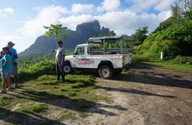 Bora Bora: Half Day Island 4WD Guided Tour