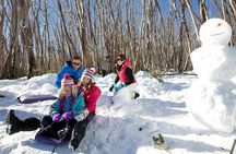 Lake Mountain Snow Trip including Yarra Valley Chocolaterie from Melbourne