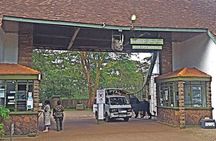 Nairobi National Park Safari Tour