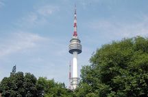 Seoul City Sightseeing Tour Including Gyeongbokgung Palace, N Seoul Tower, and Namsangol Hanok Village