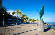 Amazing Vallarta