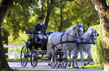 Lipica Stud Farm- Private Experience from Koper