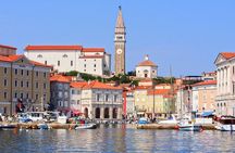 Piran and Scenic Slovenian Coast-Private Experience from Koper