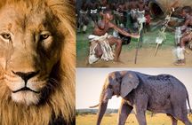 Lesedi Cultural Village and Lion Park tour