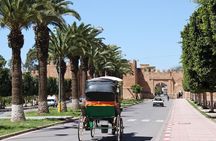 Taroudant and Tiout Day Trip From Agadir With Lunch