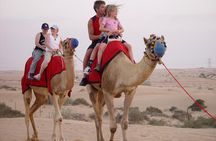 Paradise Valley and Camel Ride and Spa in All-in-One in Agadir