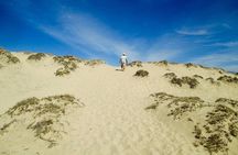 Desert Sahara Sand Dunes in Agadir