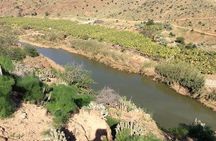 Agadir Desert Safari Day Trip with Lunch and Agadir City Tour