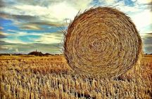 Farm Life Excursion from Fez