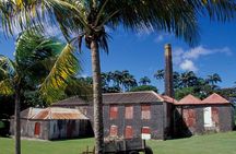 St Nicholas Abbey Tour in Barbados
