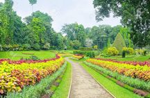Private Kandy Day Tour from Colombo