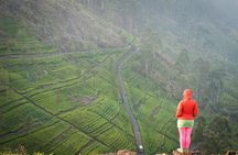 Lipton's Seat and Tea Factory,Trail Amidst Tea Plantation Day Tour 