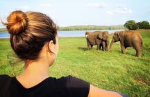 Udawalawe National Park Safari With Transfers From Colombo
