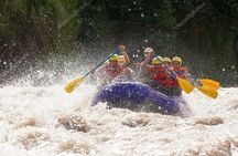 white Water Rafting In Kitulgala from Bentota